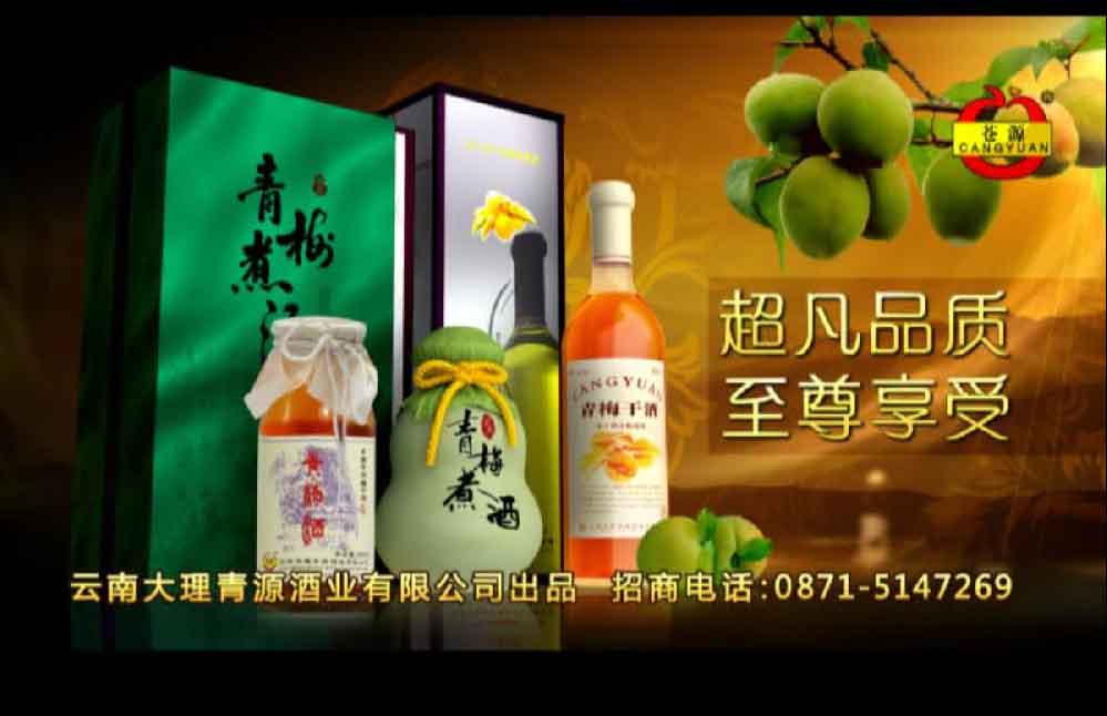 昆明宣傳片廣告片拍攝投放