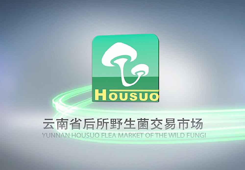 昆明公交電視廣告投放